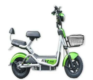 Olověná elektrická kola Nákladní elektrická kola