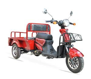 Motocyklové elektrické tříkolky pro dospělé